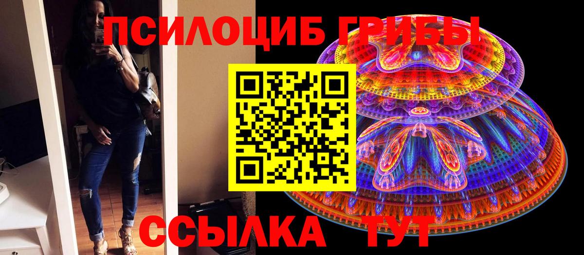 Котельники  Псилоцибиновые грибы Psilocybine cubensis  Вход с VPN 